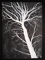 encre blanche_0004 (soldout)